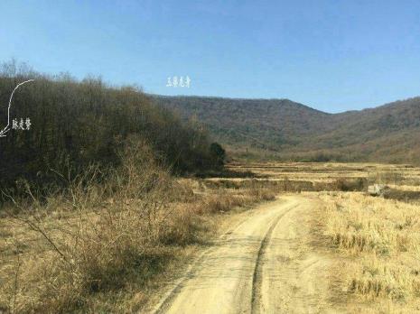 大方县黄坭塘大龙山发脉地在哪