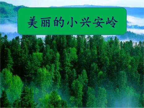 三年级美丽的小兴安岭仿写夏天
