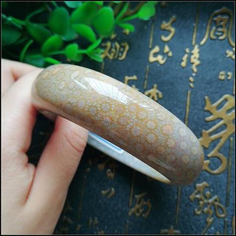 珊瑚玉手镯直播技巧