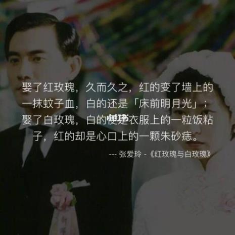 白玫瑰和朱砂痣经典语录