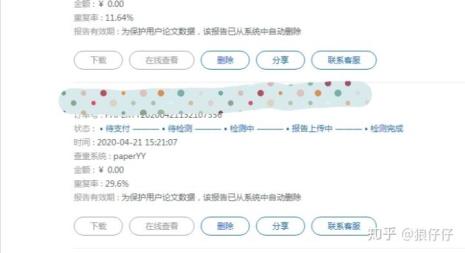 paperyy怎么查重