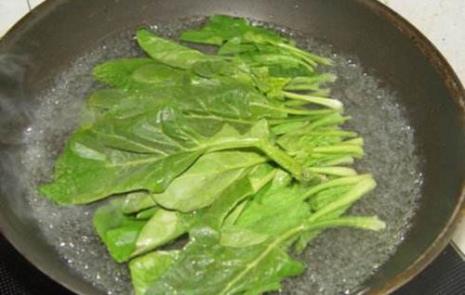 牛能吃菠菜吗