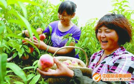 10月采摘园都可以摘什么