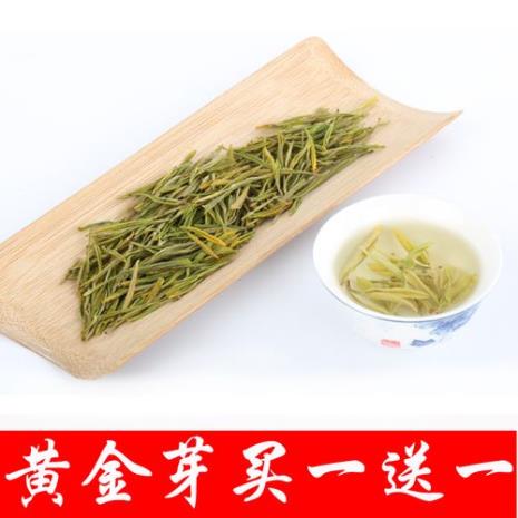 白茶黄金叶特点