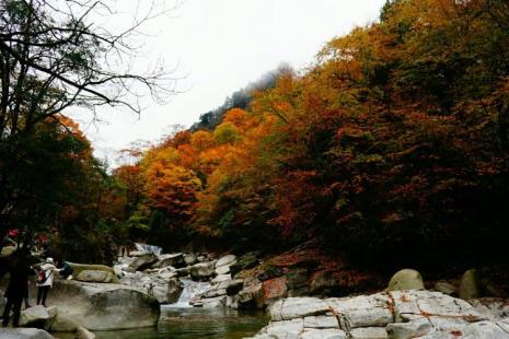 十一去光雾山好吗