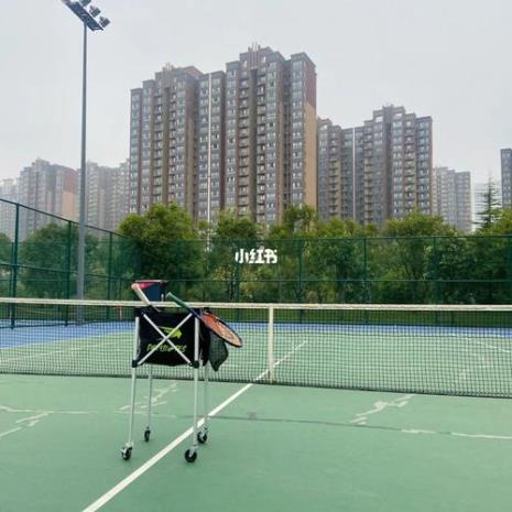 初学者如何选择网球