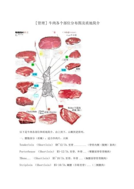 牛肉部位图解