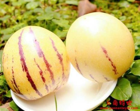 人参果吃起来为什么没味道