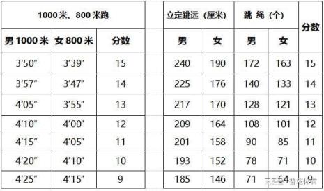 800米和4分钟跳绳选哪个