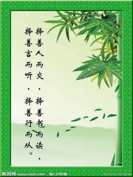 咏竹子的诗句有哪些