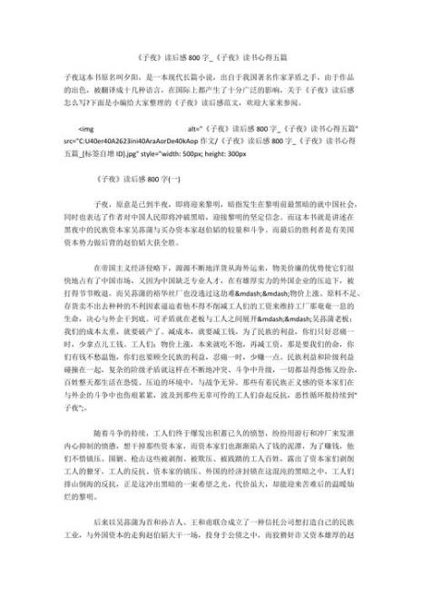 子夜的读后感