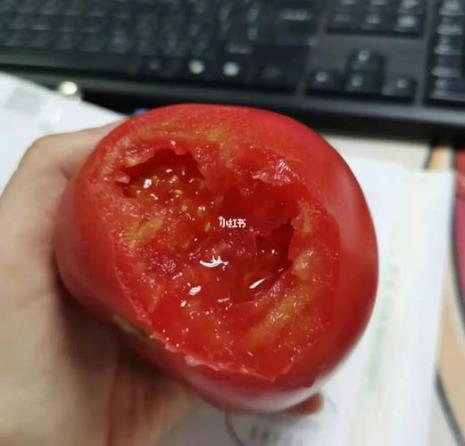 普罗旺斯和西红柿一样吗