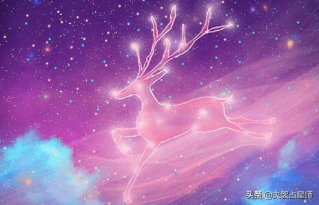 摩羯座是什么星象属性