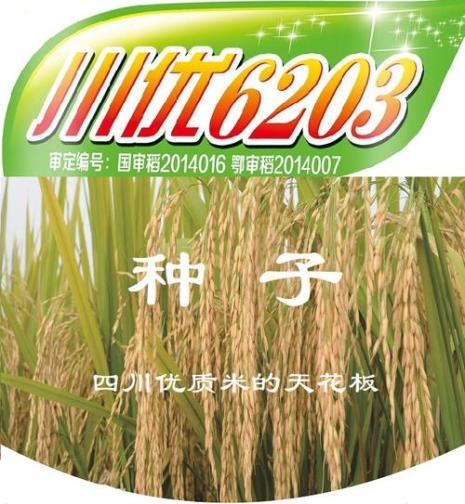 四川最好稻种排名