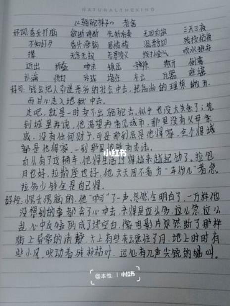 骆驼祥子8章摘抄