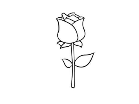 7笔画玫瑰花简笔画