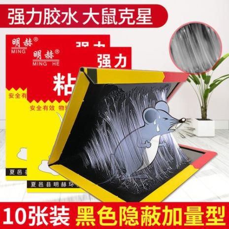 衣服粘到粘鼠板的胶怎么办