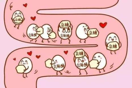母乳宝宝乳糖不耐受怎么办
