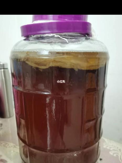 红茶菌几天喂一次