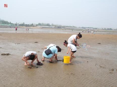 日照6月份最佳赶海时间表
