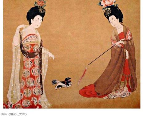 什么是柯子裙
