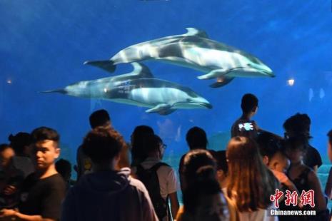 重庆汉海海洋公园国庆人多吗