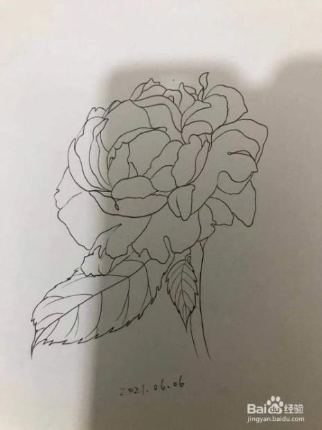 一束斜着放着玫瑰花怎么画