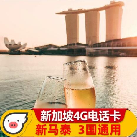 在新加坡可以用国内的银行卡吗