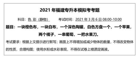 美术生专升本考什么