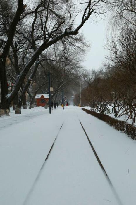 下雪的哈尔滨啥意思