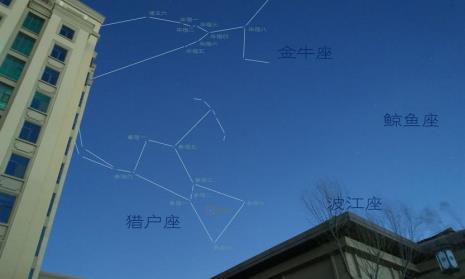 昴星团位于什么星座