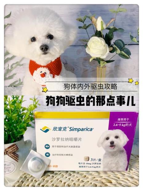 狗狗驱虫什么牌子好不要太贵的