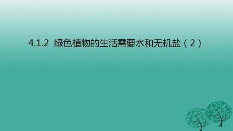 什么植物可以提取盐