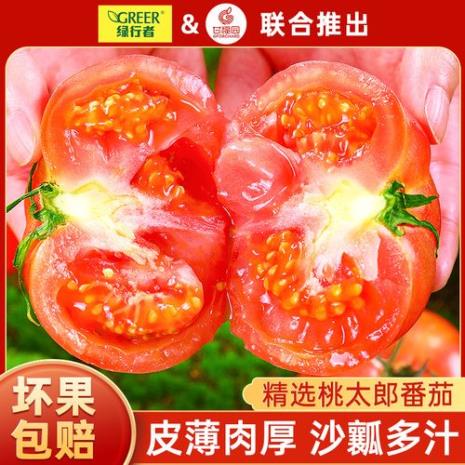 桃太郎西红柿介绍