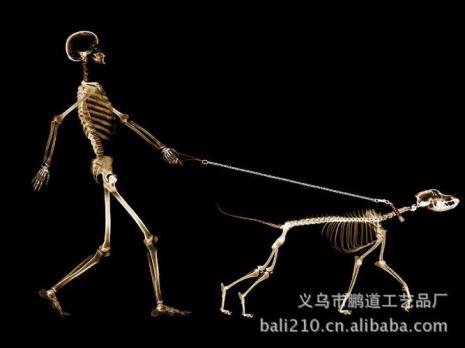音乐的血肉灵魂骨架各指什么