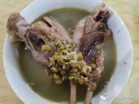 鸽子天天喂绿豆好吗