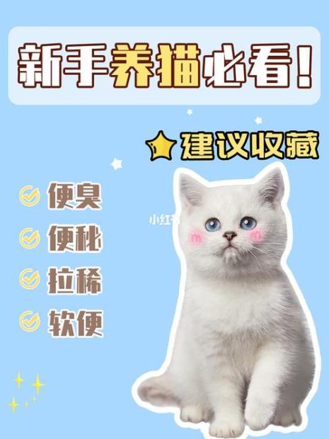成年猫一天排便几次