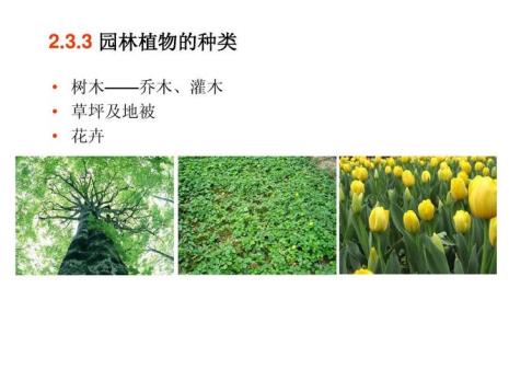 适合水中生长灌木和乔木
