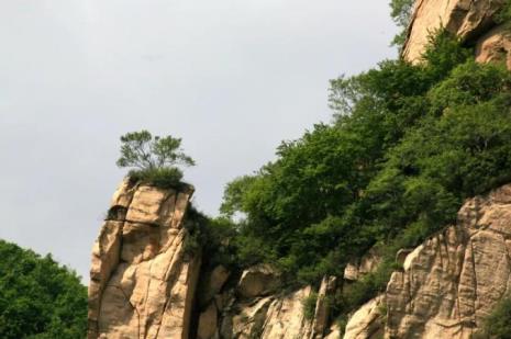 保定玫瑰谷风景怎么样