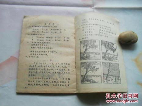 竺可桢八十年代小学课文原文