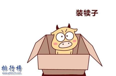 网络语小朋友什么意思