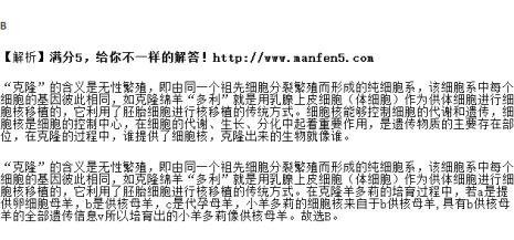 羊的细肠多长