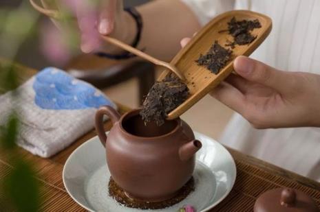 生普品鉴的专业术语
