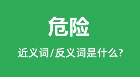 危险的近义词凶猛的反义词