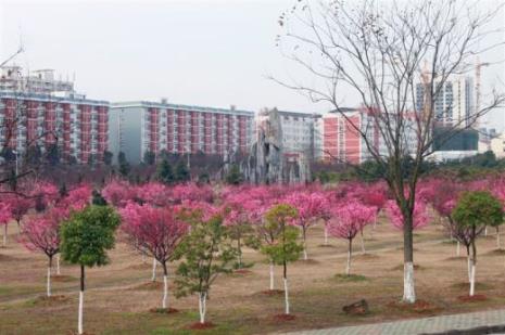 汉口学院介绍一下