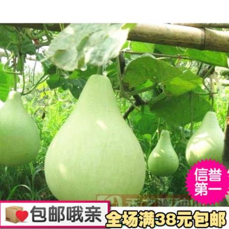 葫芦瓢的使用方法