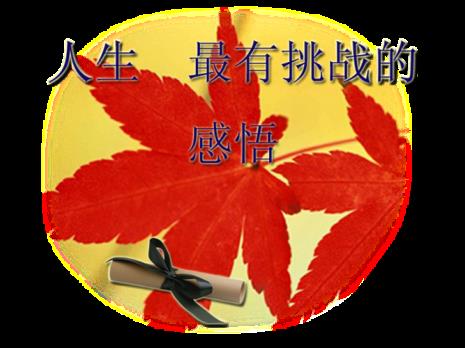 献给企业人的感悟