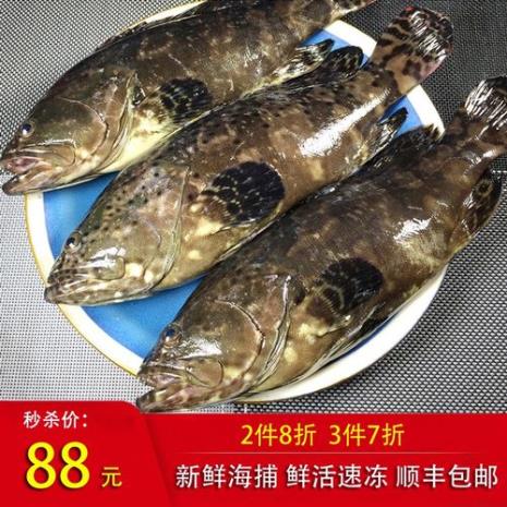 石斑鱼冷冻了还好吃吗