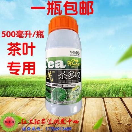 高氨基酸茶叶是什么意思