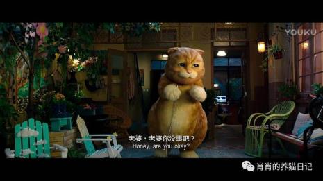 一个会走路的猫的电影